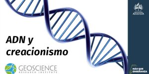 ADN-y-creacionismo-portada