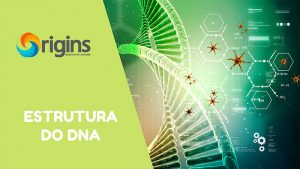 Estrutura-do-DNA
