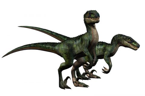 Velociraptor