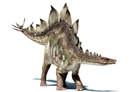 Stegosaurio