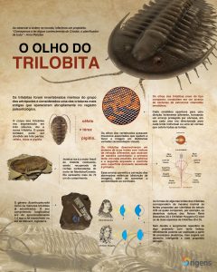 Trilobitas